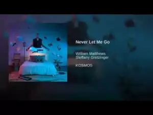 William Matthews - Never Let Me Go ft Steffany Gretzinger